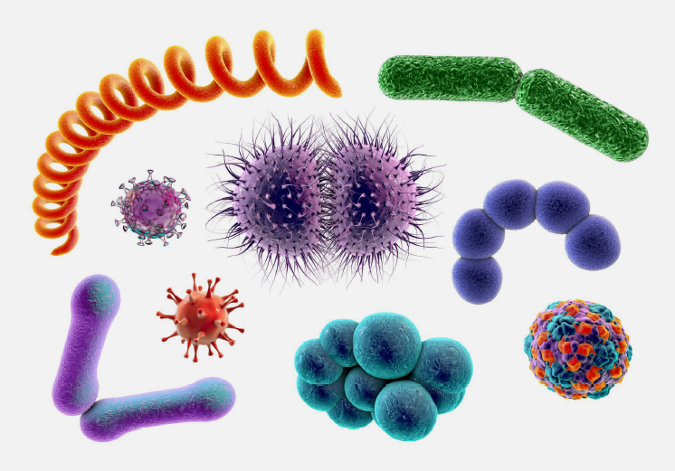 Understanding The Oral Microbiome - What And Why?